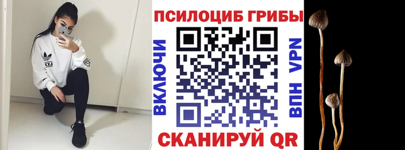 Галлюциногенные грибы мицелий  Стерлитамак 